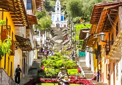escoje_tu_destino